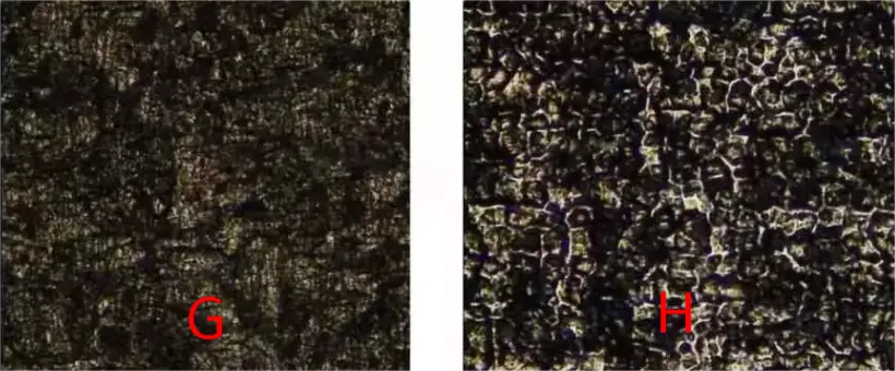 171084361503311 171084361503311